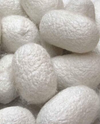 Zijdecocons ongeverfd