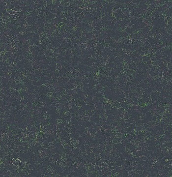 DesignFelt 2 mm - sample - 865 Yellow-Black