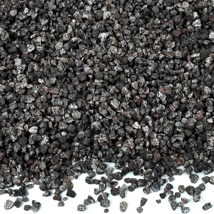 Cochineal (Dactylopius coccus)