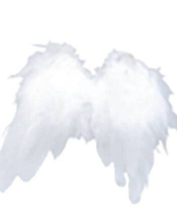 Angel Wings