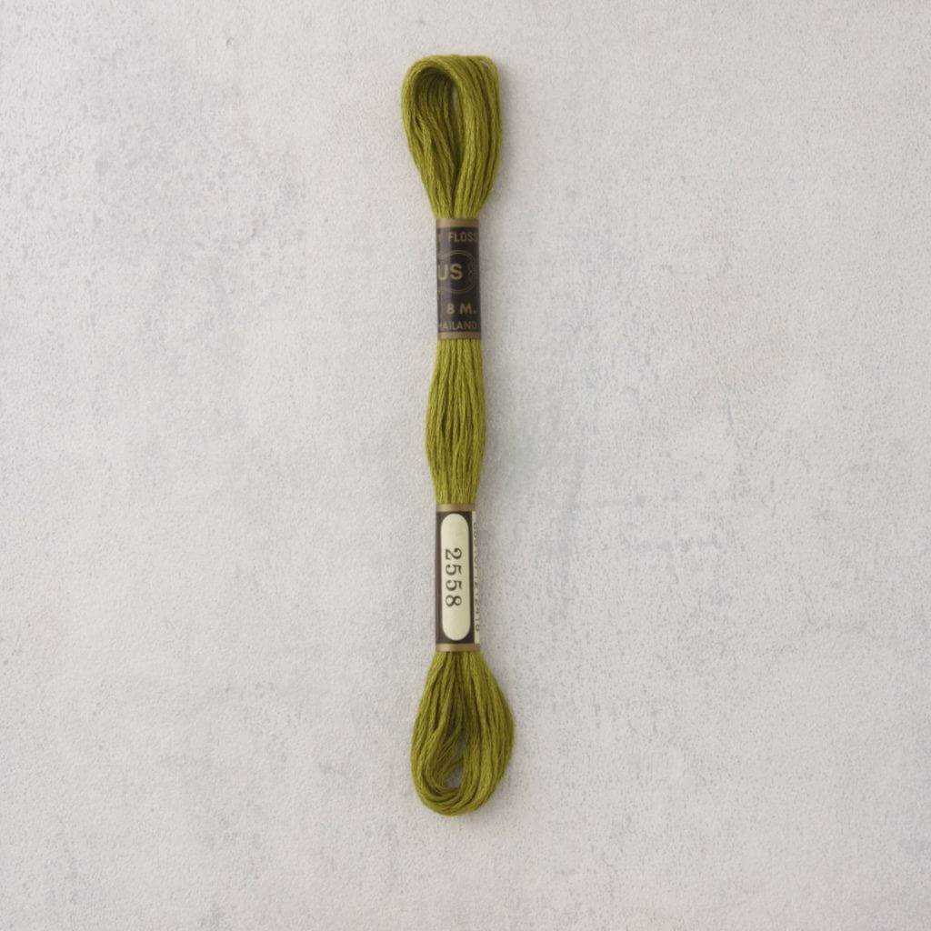 Venusgaren - per stuk - lentegroen