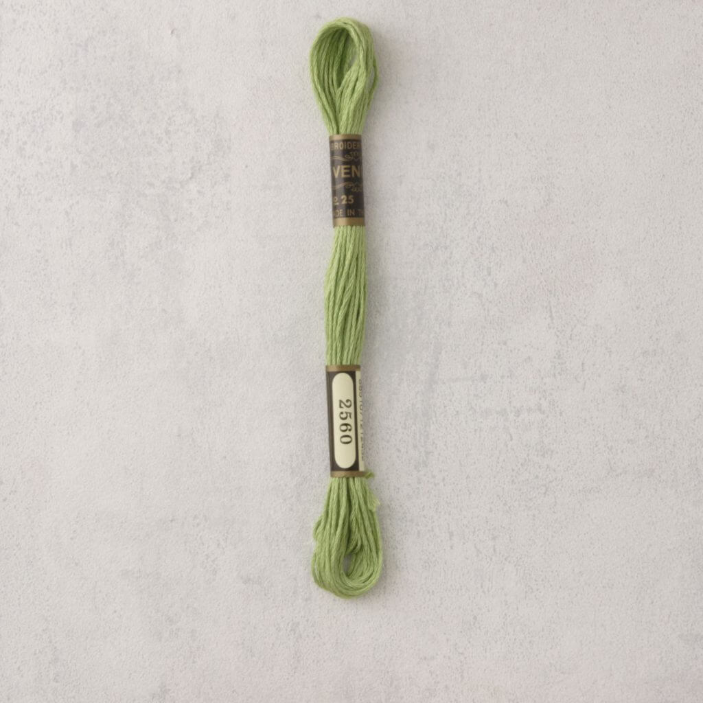 Venusgaren - per stuk - lente