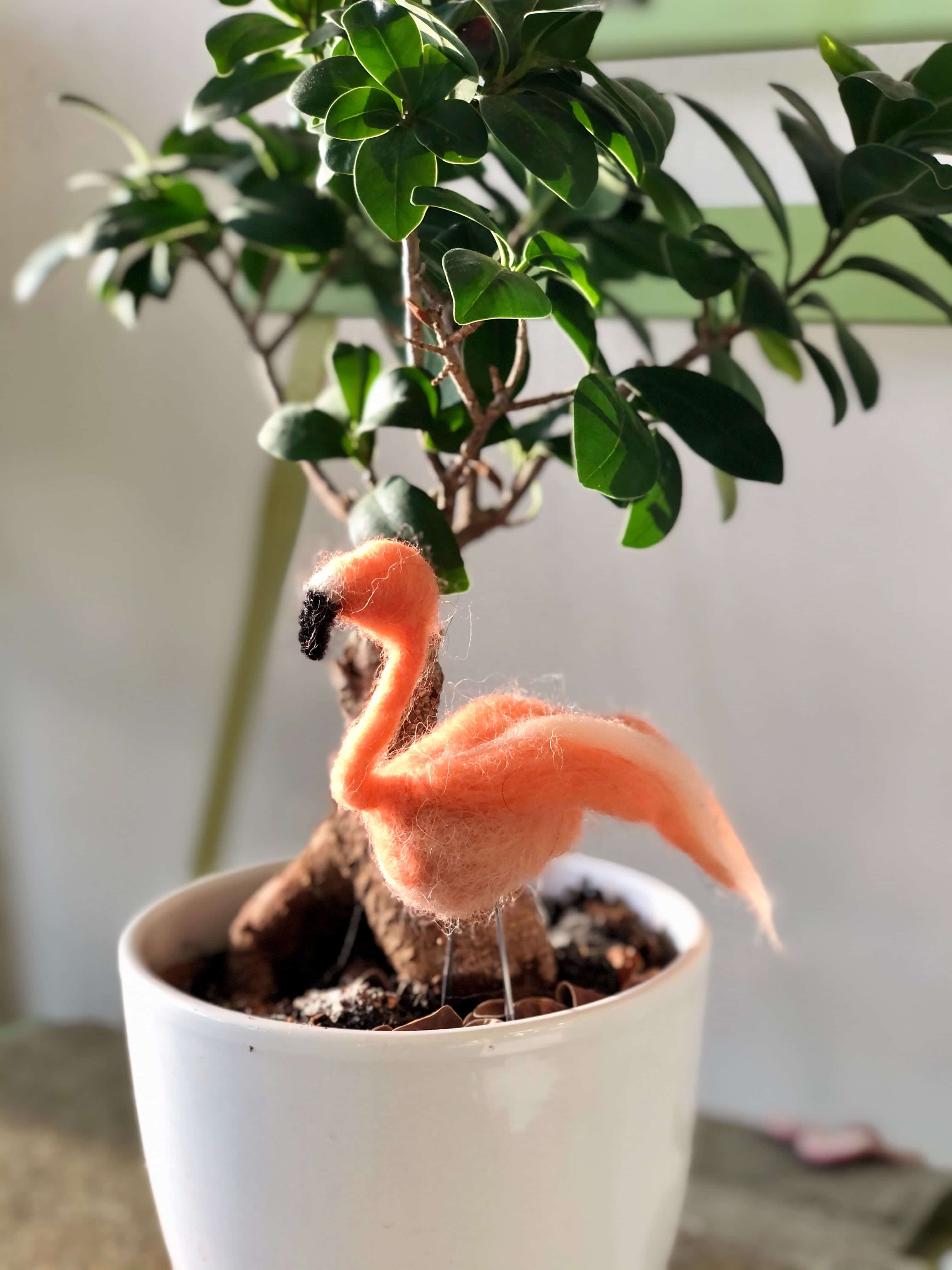 Nieuw! Lontwol EU - 700 Coral