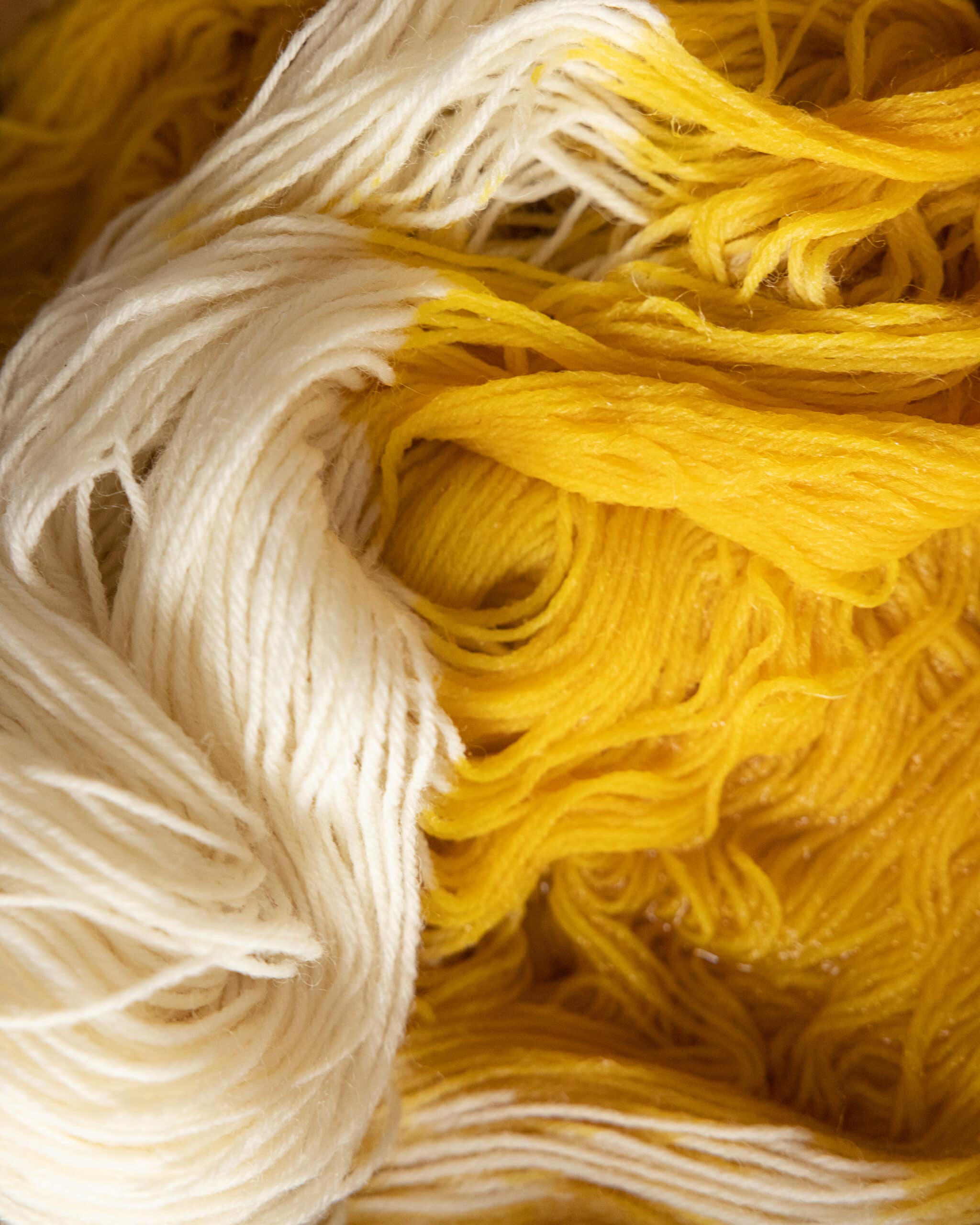 Oogst - Dye your own 'Sock' Yarn DIY kit - Chamomile