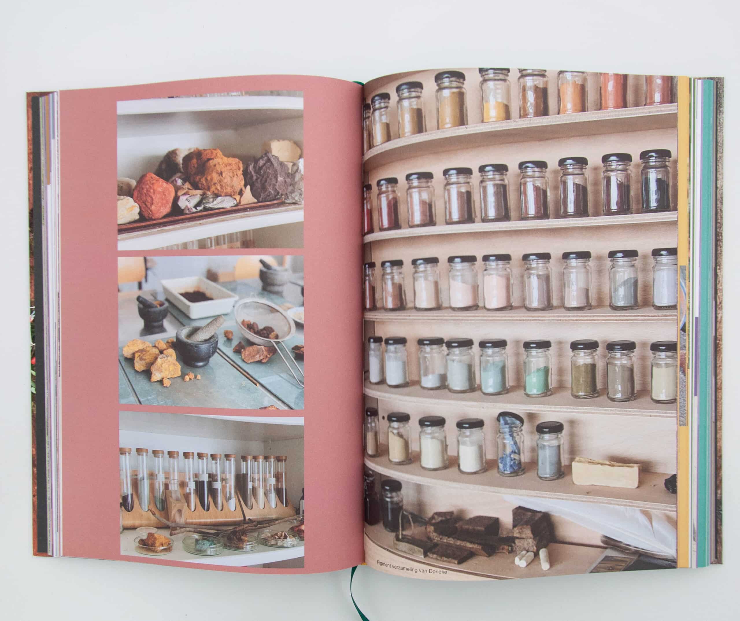 Kleurboek - Natuurlijke verf, inkt door Jill de Vries (!Dutch Language!)