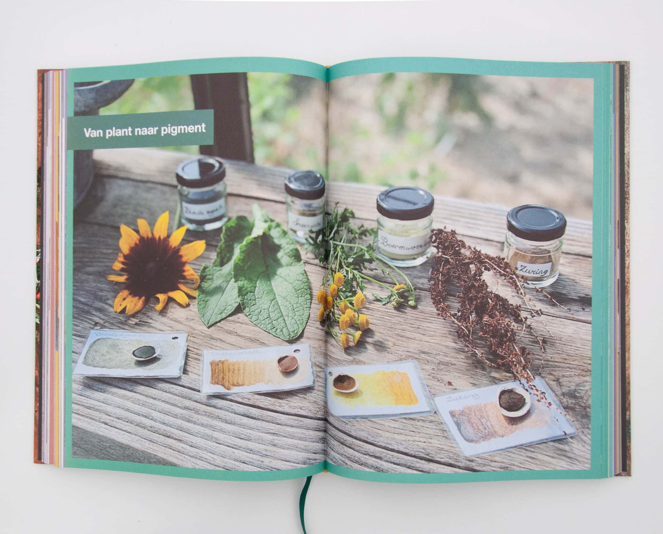 Kleurboek - Natuurlijke verf, inkt door Jill de Vries (!Dutch Language!)