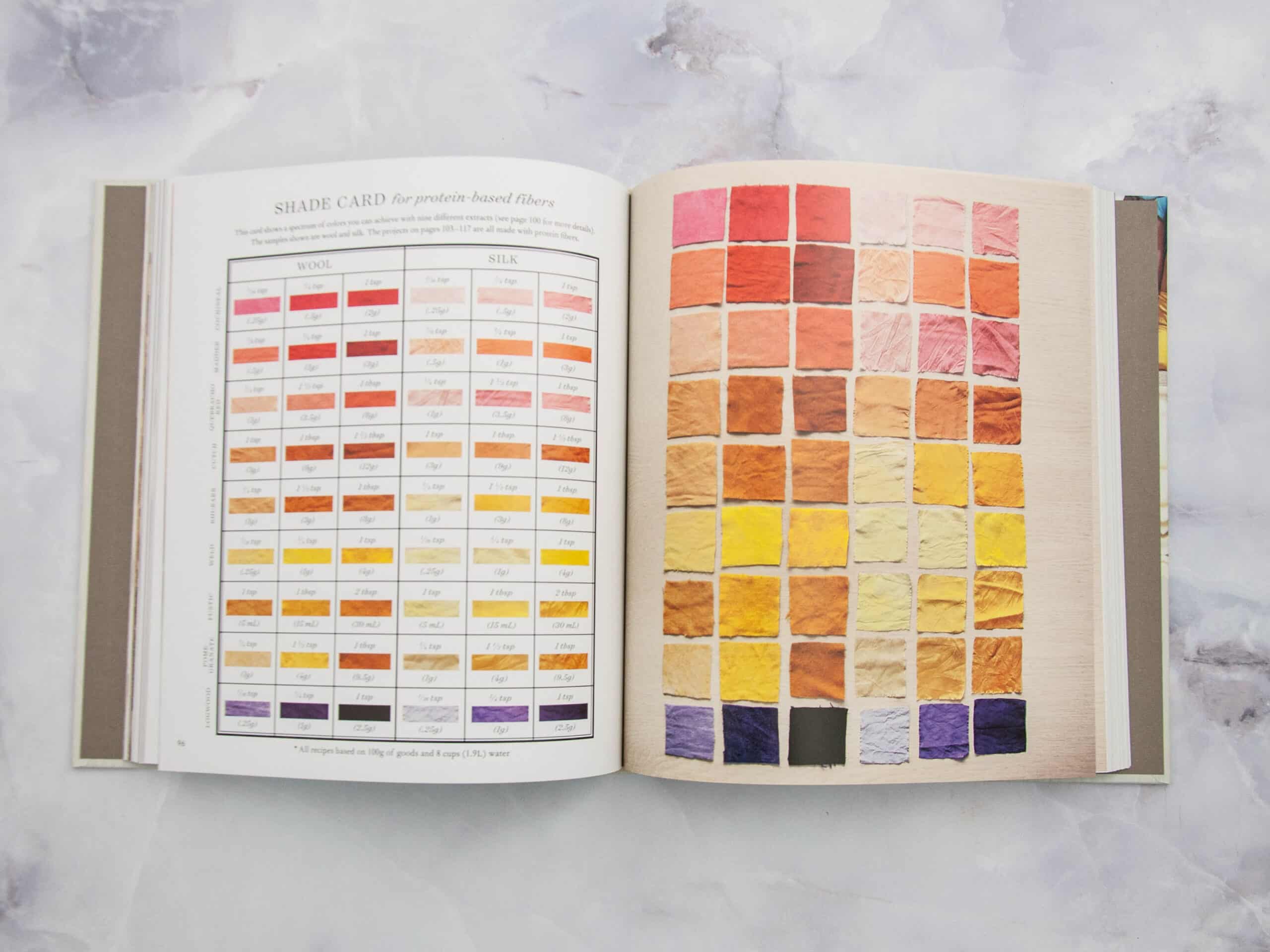 Modern Natural Dyer by Kristine Vejar