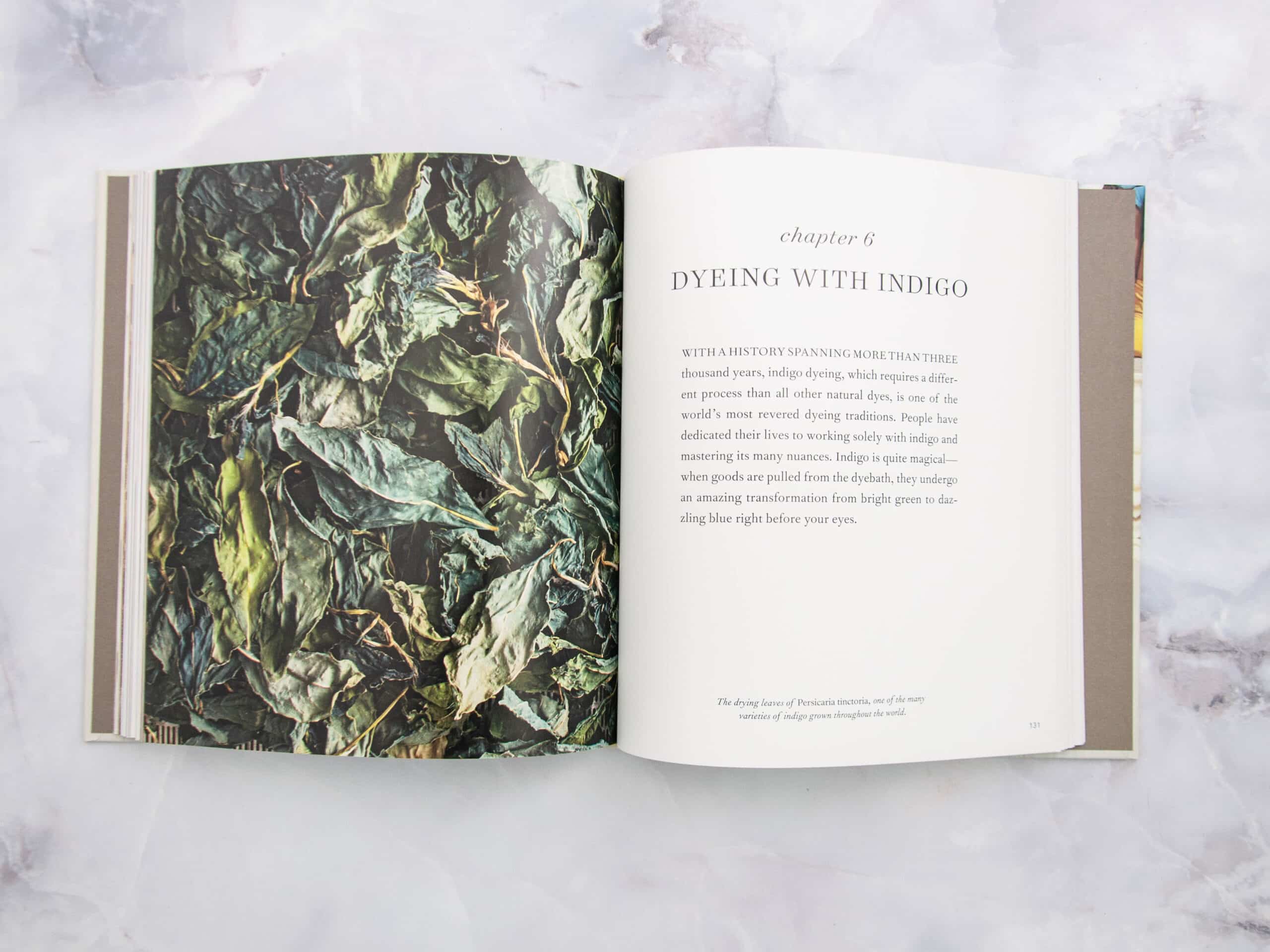 Modern Natural Dyer by Kristine Vejar