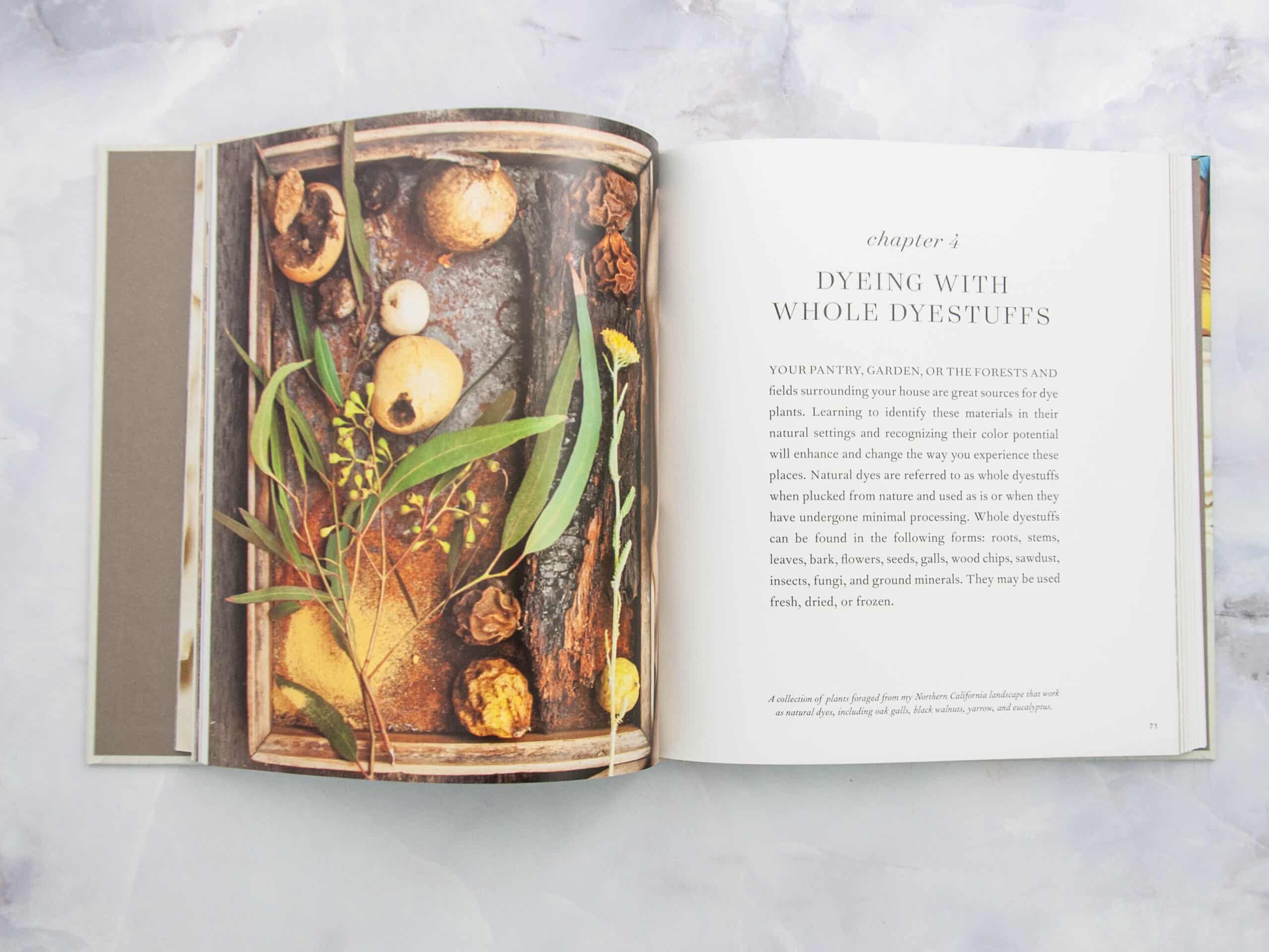 Modern Natural Dyer by Kristine Vejar