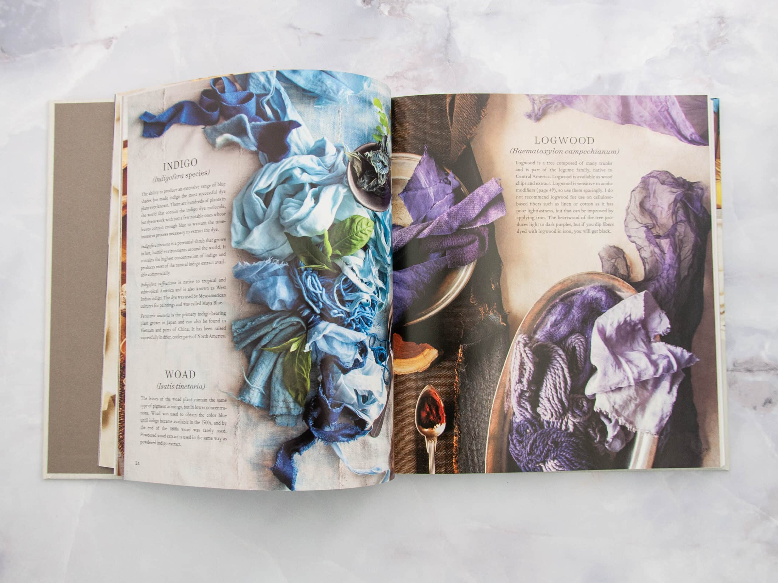 Modern Natural Dyer by Kristine Vejar